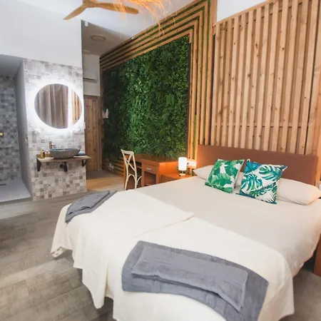 Bed & Breakfast Banana Patacona