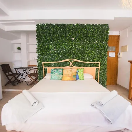 Banana Patacona Bed & Breakfast Alboraia