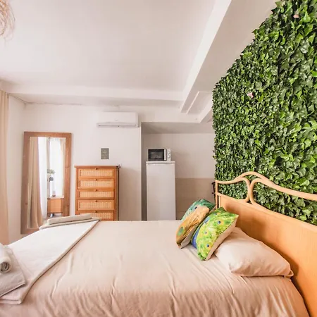 Bed & Breakfast Banana Patacona