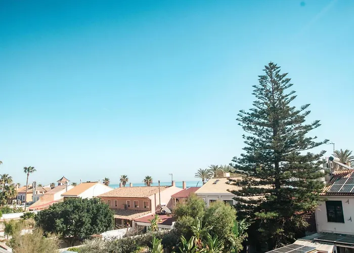 B&B Banana Patacona 알보라야